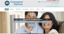 Desktop Screenshot of conceptualoptions.com